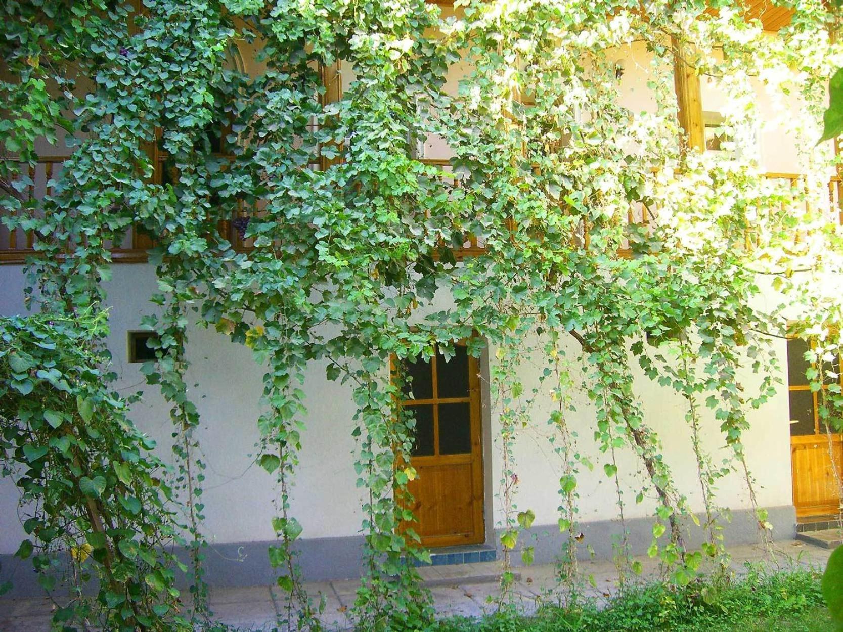 Jahongir Bed & Breakfast Самарканд Екстериор снимка