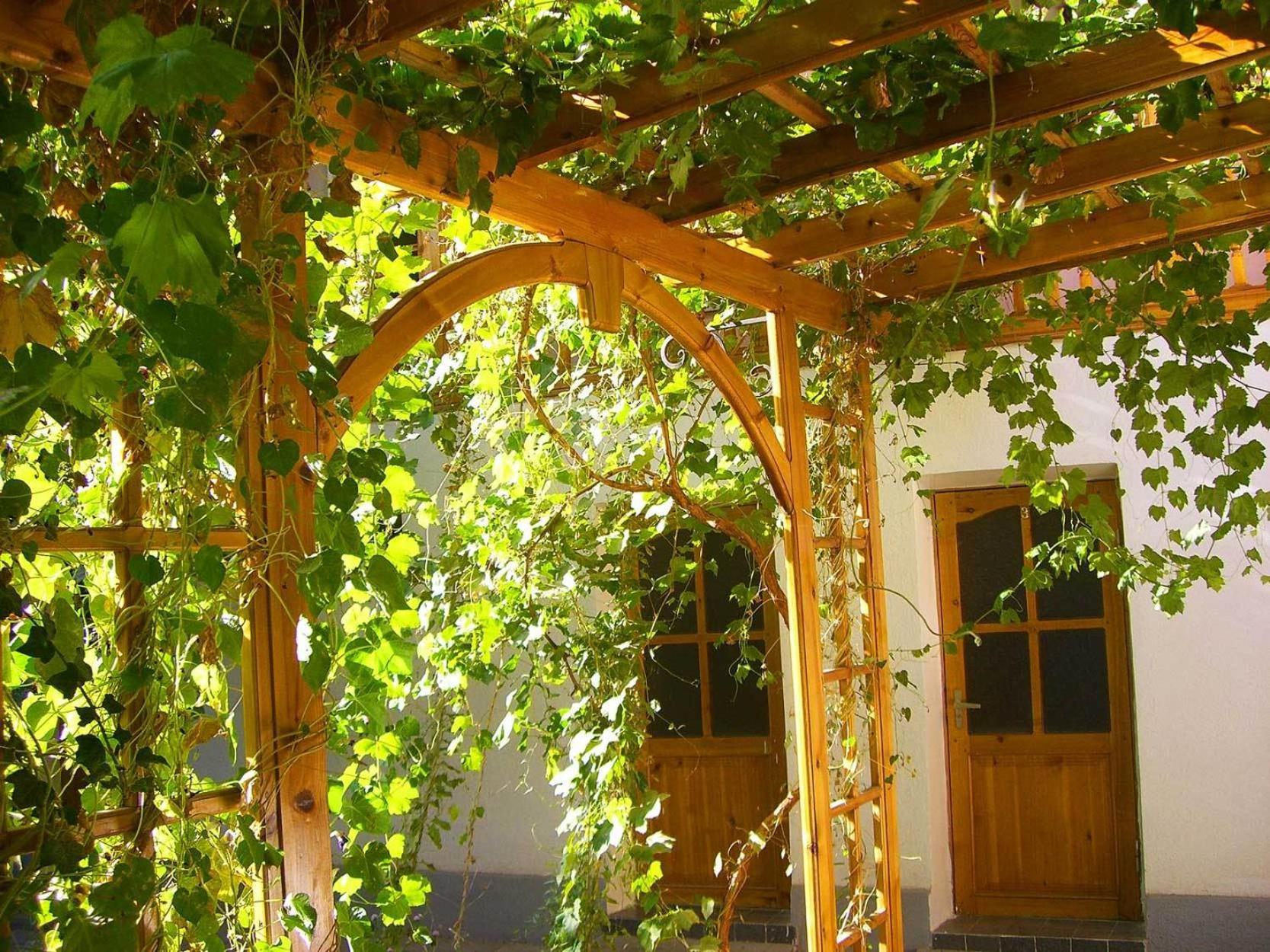 Jahongir Bed & Breakfast Самарканд Екстериор снимка