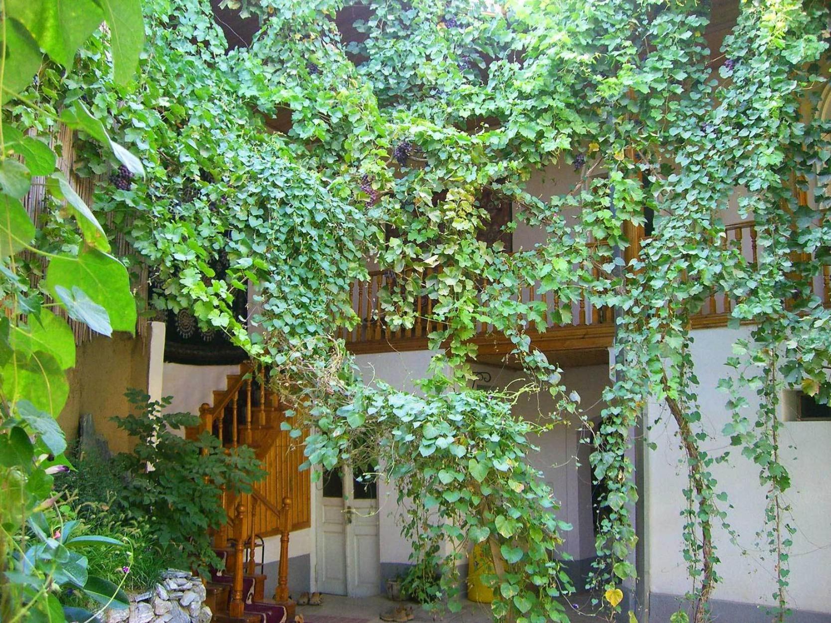 Jahongir Bed & Breakfast Самарканд Екстериор снимка