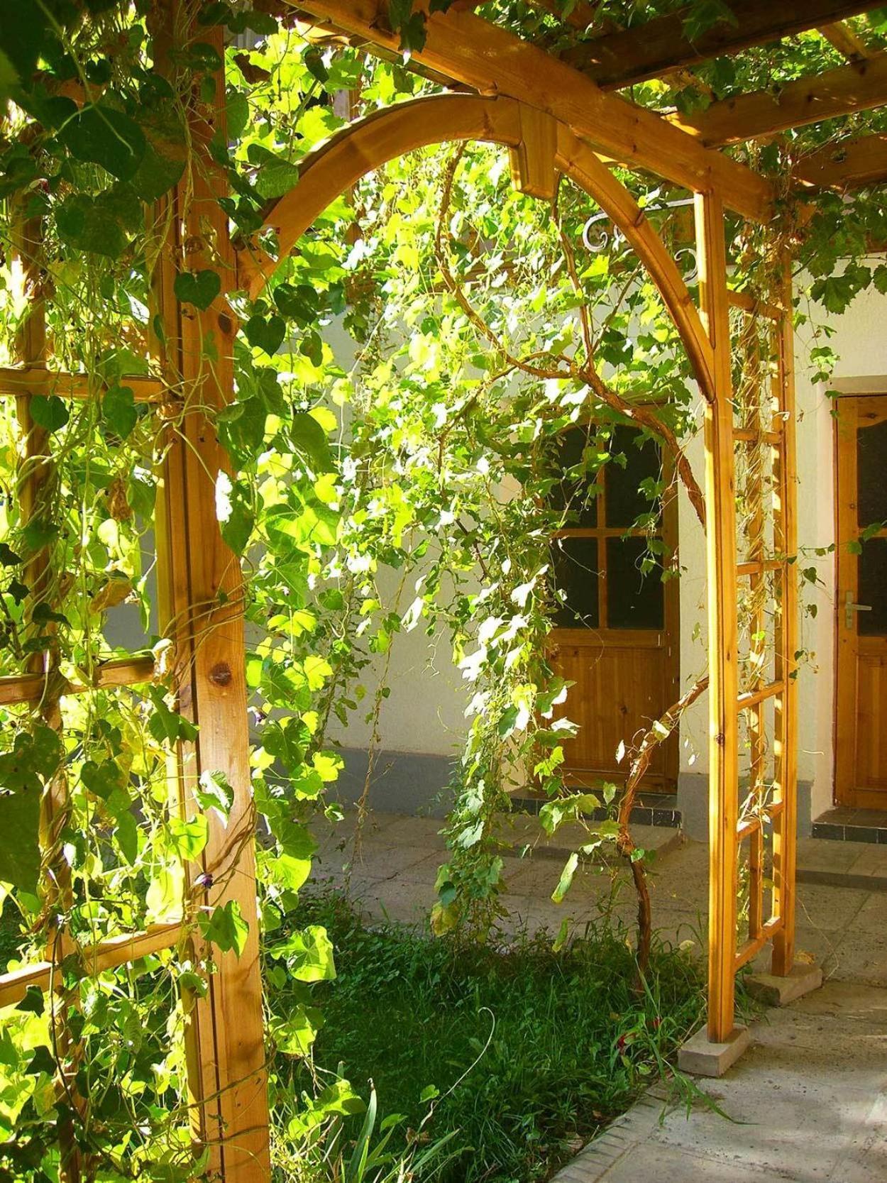 Jahongir Bed & Breakfast Самарканд Екстериор снимка
