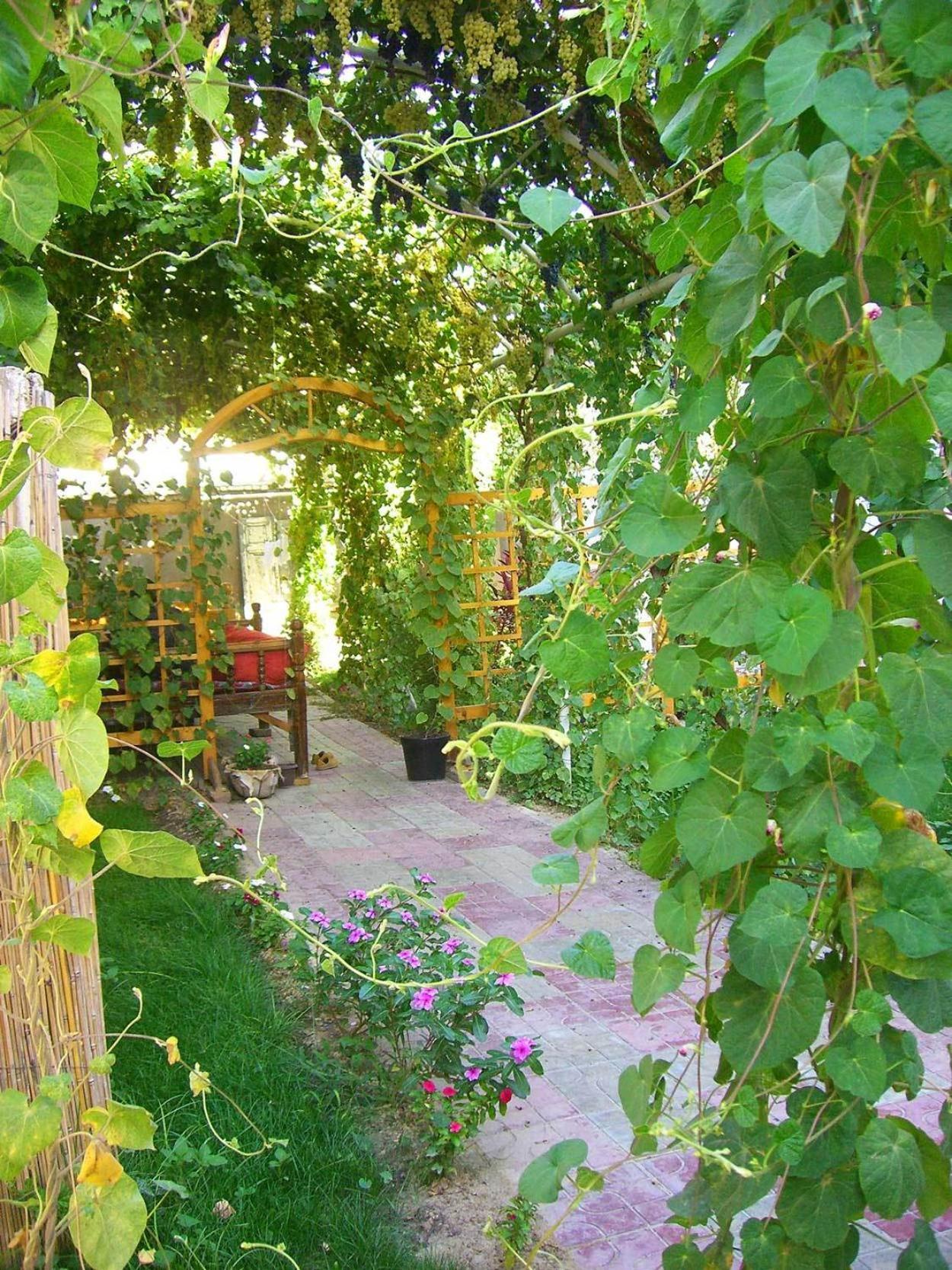 Jahongir Bed & Breakfast Самарканд Екстериор снимка