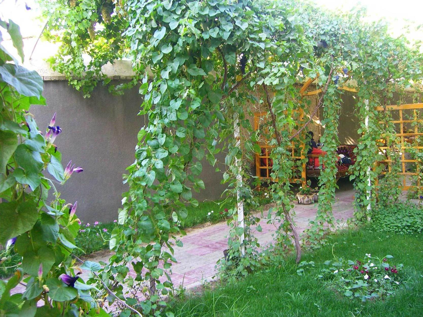 Jahongir Bed & Breakfast Самарканд Екстериор снимка